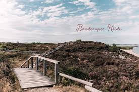 Lieblingsplatze Lila Traume In Der Braderuper Heide Heide Sylt Und Fraulein