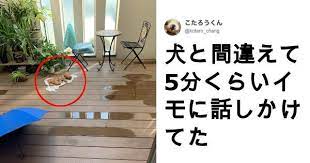 勘違い が生み出すエピソードってほんと笑えるよねｗ 8選 面白いビデオ 爆笑ネタ おもしろ標識