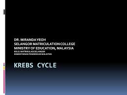 We have 32 free kolej vector logos, logo templates and icons. Ppt Krebs Cycle Powerpoint Presentation Free Download Id 2065164