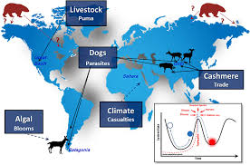 I can't get a signal. Frontiers Disassembled Food Webs And Messy Projections Modern Ungulate Communities In The Face Of Unabating Human Population Growth Ecology And Evolution