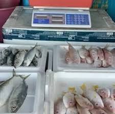 Kawasan pembangunan pertanian bersepadu (iada) rompin adalah salah sebuah agensi di bawah kementerian pertanian & industri asas tani malaysia Taman Nusa Puteri 21 7 5pm Pasar Ikan Bergerak Kuala Rompin Facebook