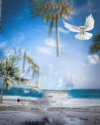 New 500 Hd Editing Backgrounds For Picsart Photoshop Dslr Background Images Love Background Images Iphone Background Images