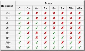 One Life One Chance Blood Groups