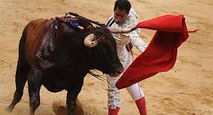 Luis Bolívar corta la última oreja - MARCA.com