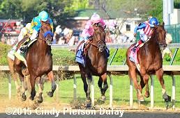 2015 Kentucky Derby Results