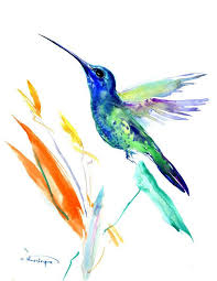 Animal Bird Of Paradise Drawing Hummingbird And Bird Of Paradise Flower Wall Art Hummingbird Hummingbird Art Painting Birds Of Paradise Flower Watercolor Flowers Paintings Watercolor Bird
