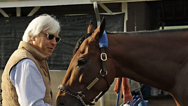 Horse racing: Expectations now even higher for American Pharoah