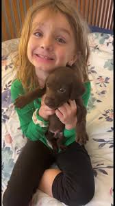 Miranda Goodwin (@mgoodwin252)