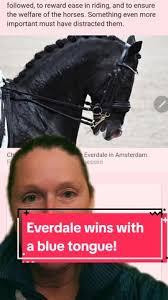 BLUE TONGUE alert!! Everdale wins his round at an FEI event in Amsterdam  with a blue tongue!! This is absolutely criminal and something needs to  change in FEI Dressage #viral #fyp #fypシ #dressage ...