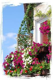 small space garden landscaping ideas garden vines balcony garden balcony flowers