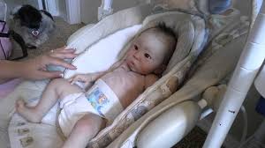 Image result for reborn