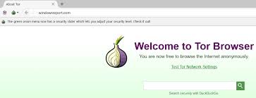 6 Best Vpn For Tor Browser Why You Need One In 2020 Tor Browser Best Vpn Internet Traffic
