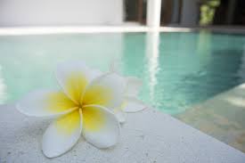 Maybe you would like to learn more about one of these? Cloudy Pool Water An Ultimate Guide To All The Reasons Why Own The Pool