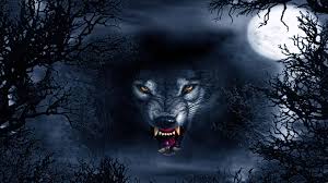 If you're in search of the best wolf wallpapers, you've come to the right place. Wolf Wallpaper 4k 64k Ultra Hd Wolf Wallpapers Top Free 64k Ultra Hd Wolf Backgrounds Wallpaperaccess You Can Share This Wallpaper In Social Networks We Will Be Very Grateful To