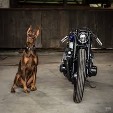 Hot Rod Alice A Honda Cb750k Ten Years In The Making Bike Exif