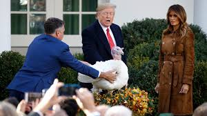 We did not find results for: Trump Vows He Won T Change Name Of Thanksgiving Wfla