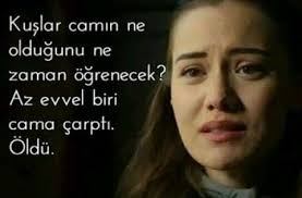 Ebru Adli Kullanicinin Calikusu Panosundaki Pin Film Alintilari Guzel Soz Film
