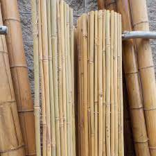 Siamo rivenditori di canne di bambù. Stuoie Canne Bambu Da Costruzione L 300 Cm X H 250 Cm Acquista Online Su Vivaibambu Store
