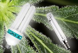 Check spelling or type a new query. Differences Between Hps And Cfl Lamps