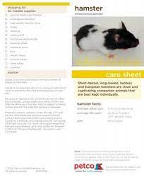 Maybe you would like to learn more about one of these? Hamster Care Sheet Pdf Petco