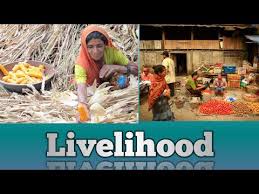 Livelihood Meaning In Telugu And English Youtube