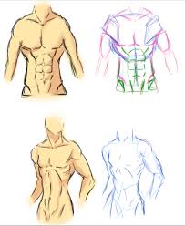 Muscles of the torso, as well as muscles in the arms or legs, can give the impression of a thin or we analyze precisely the plastic anatomy, that is, the structure of precisely those anatomical structures. Male Torso Anatomy 1 By Vietii On Deviantart