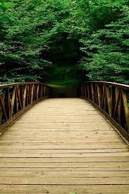 Nature Forest Bridges Iphone 4s Wallpaper Download Get More Favorite Choices Here Http Www Ilikewallpaper Net Iphone Nature Nokia Phone Phone Wallpaper