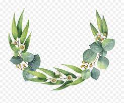 Perfect graphics for invitations, nursery decoration, greeting cards, gift tags, photos, posters and so much more! Eucalyptus Wreath Clipart Png Transparent Gum Leaves Png Watercolor Greenery Png Free Transparent Png Images Pngaaa Com