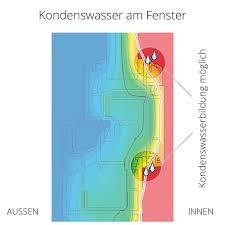 Günstige kleinwagen • perfekt für die großstadt • flink und wendig • sparsam und günstig. Fenster Beschlagen Von Innen Kondenswasser Vermeiden