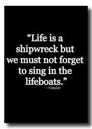 Voltaire The Heretic Surfing Quotes Quirky Quotes Thoughts Quotes