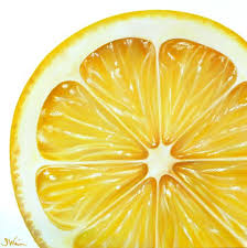 Lemon Slice Sarah E Wain Lemon Art Prismacolor Art Lemon Painting