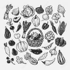 Affordable and search from millions of royalty free images, photos and try dragging an image to the search box. Hand Drawn Vector Set Of Vegetables Big Vegetable Collection Royalty Free Cliparts Vectors And Stock Illustration Image 72807287