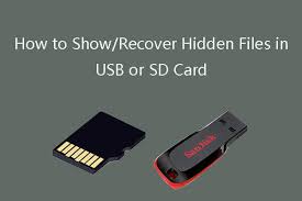 How to find free tools to optimize your small business. How To Show Recover Hidden Files In Usb Or Sd Card