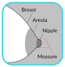 How To Choose The Correct Sized Spectra Breastshield