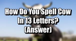 Cow In 13 Letters How To Spell Write Cow In 13 Letters Answer