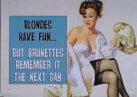 5 years ago5 years ago. Blondes Have Fun But Brunettes Remember It The Next Day Retro Steel Sign
