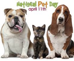 Yep, the day of the year where we collectively celebrate the joys of living with a fur ball of love. National Pet Day 2021 Holidays Today