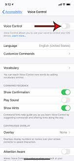 How To Turn Off Voice Control On An Iphone 11 Solve Your Tech In 2021 Voice Control Turn Off Turn Ons