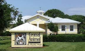 We are a veterinary clinic located in st. Contact Pinellas Point Office Veterinary Clinic Central Animal Hospital
