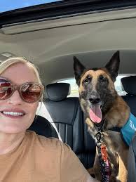 Working duck training progress at 13 months