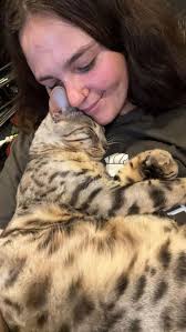 Losing a pet is incredibly painful