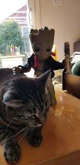 Pin By Hobane Grey On Groot Baby Groot Groot Marvel Comics