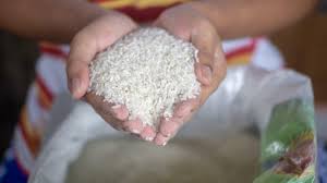 Maybe you would like to learn more about one of these? Https Kaltim Tribunnews Com 2021 08 16 Bulungan Sangat Berpotensi Jadi Lumbung Pangan Di Kalimantan Dprd Beri Masukan Https Cdn 2 Tstatic Net Kaltim Foto Bank Images Hamka Dprd Bulungan Soal Pertanian Jpg Wakil Ketua Dprd Bulungan Hamka
