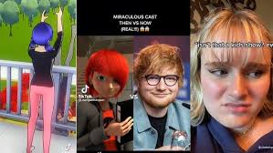 Hot chat noir/ Adrien Agreste edits