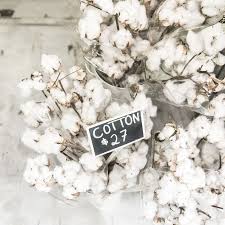 Dried Cotton Is In Perfect For Styling And Home Decor It S So Fluffy And It Lasts And Lasts Flower Market Flowers Florist