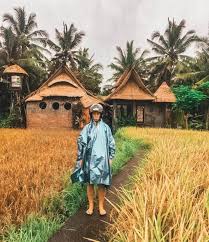 There are often thunder and lightning storms, which are. Weather In Bali In November Has The Rainy Season Arrived Rainy Season Bali Rainy