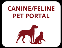 We did not find results for: Veterinary Care In Connecticut And West Massachusetts