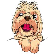 See more ideas about shih tzu puppy, shih tzu, puppies. 90 Free Shih Tzu Dog Images
