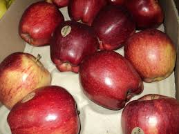 Yabloki Krasnyh Sortov Kupit V Brovarah