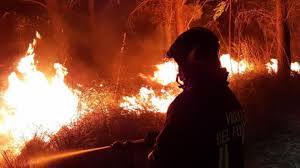 Din cauza temperaturilor ridicate, riscul de producere a unor incendii de vegetație este crescut. 5d8wyr7ppypsnm